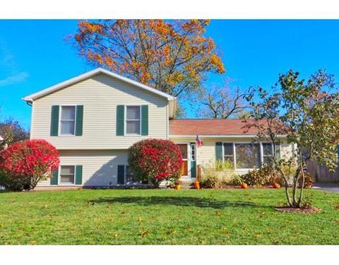 41 Amos Dr, Springfield, MA 01118 photo 1