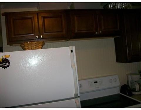 3 Roath, Worcester, MA 01604 photo 6