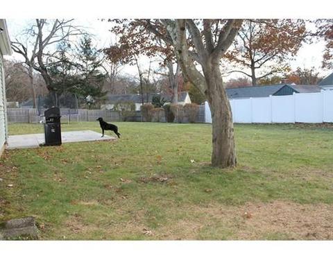 41 Capitol Rd, Springfield, MA 01119 photo 21