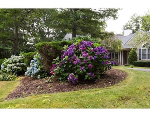 76 Regatta Dr, Barnstable, MA 02632 photo 2