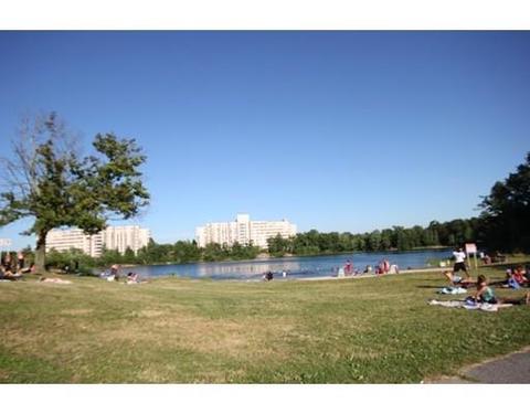 5 E Kendall St #1F, Worcester, MA 01605 photo 24