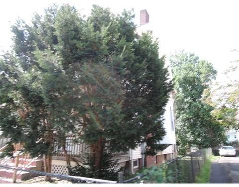 52 Colonial Ave, Springfield, MA 01109 photo 3