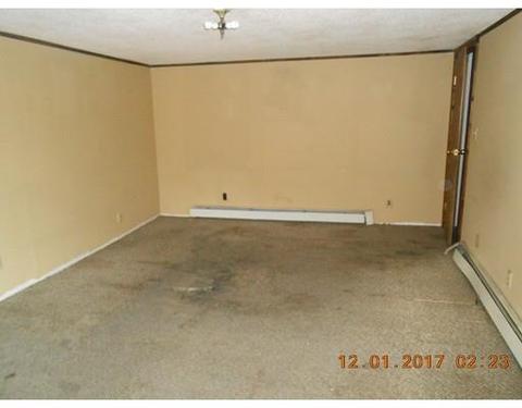 25 Myrtle St, Chicopee, MA 01013 photo 3