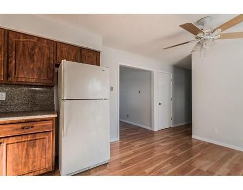 16 Prentice St, Springfield, MA 01104 photo 4