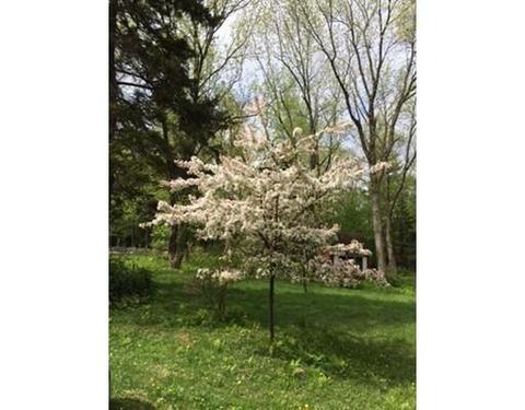 59 Middlefield Rd, Peru, MA 01235 photo 13
