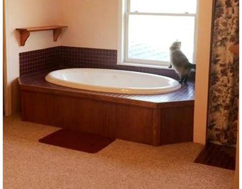 59 Middlefield Rd, Peru, MA 01235 photo 8