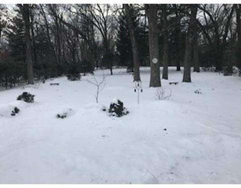 493 Maple Rd, Longmeadow, MA 01106 photo 4