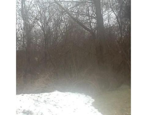 21 Springbrook Rd, Auburn, MA 01501 photo 5