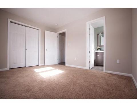 29 Mount Ave, Worcester, MA 01606 photo 22