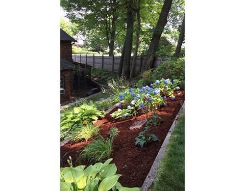 87 Coolidge Rd, Worcester, MA 01602 photo 4