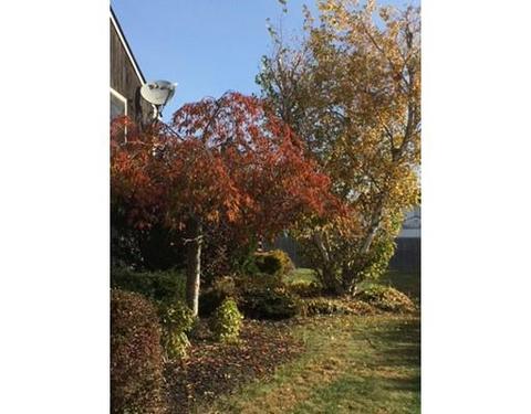 229 Joseph Dr, Fall River, MA 02720 photo 21