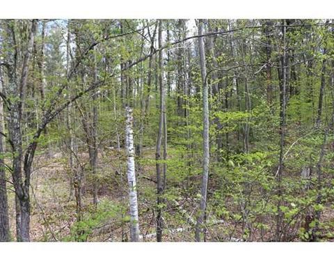 18 Ludlow Rd, Windham, NH 03087 photo 6