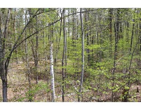 18 Ludlow Rd, Windham, NH 03087 photo 3