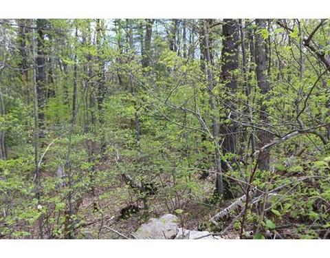 18 Ludlow Rd, Windham, NH 03087 photo 8