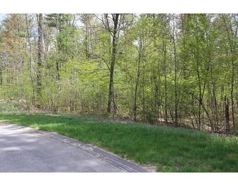 18 Ludlow Rd, Windham, NH 03087 photo 9