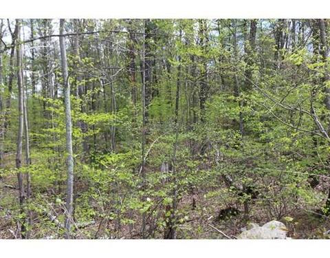 18 Ludlow Rd, Windham, NH 03087 photo 7