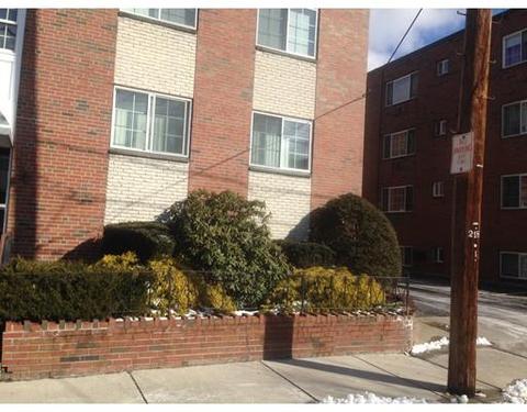 21 Staples Ave #38, Everett, MA 02149 photo 4