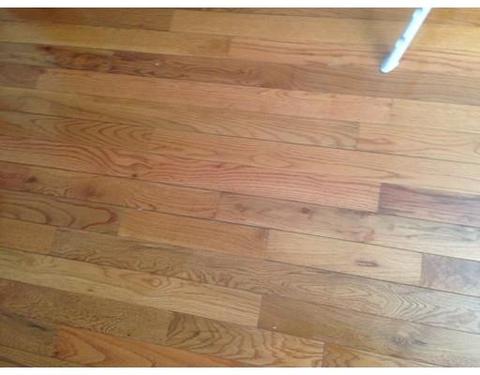 21 Staples Ave #38, Everett, MA 02149 photo 19