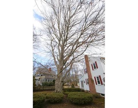 26 Morrison Rd, Wakefield, MA 01880 photo 25