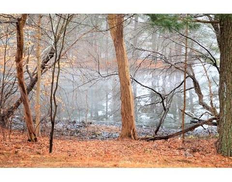 38 Johnson St, Raynham, MA 02767 photo 28