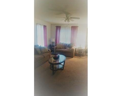 193 Laconia St, Springfield, MA 01129 photo 5