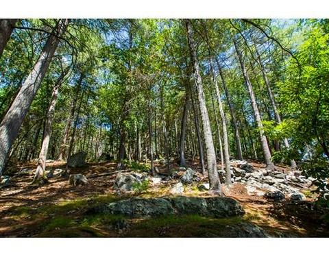 46 Algonquin Rd, Canton, MA 02021 photo 11