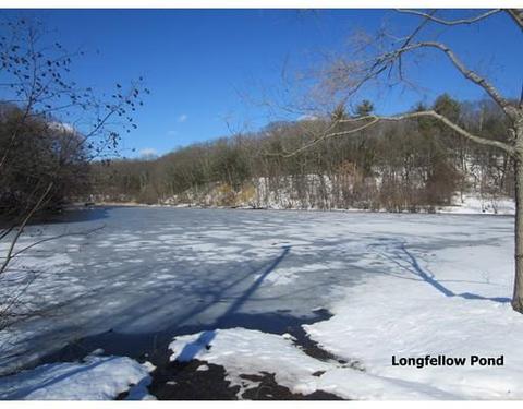18 Putney Rd, Wellesley, MA 02481 photo 6