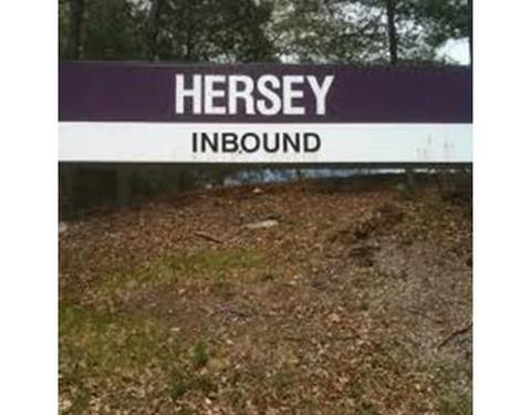 125 Hillcrest Rd, Needham, MA 02492 photo 27