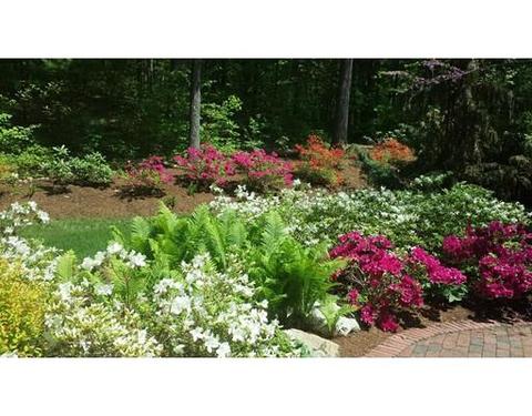 5 Birch St, Franklin, MA 02038 photo 3