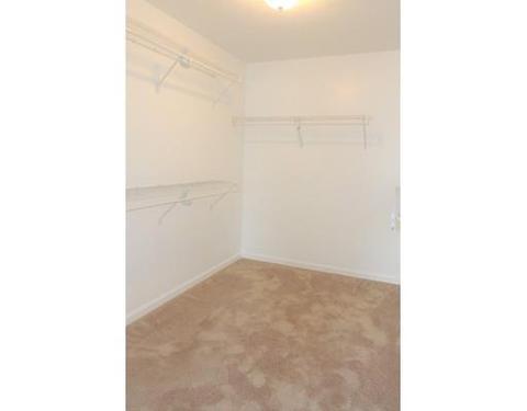 195 Morton, Springfield, MA 01119 photo 22