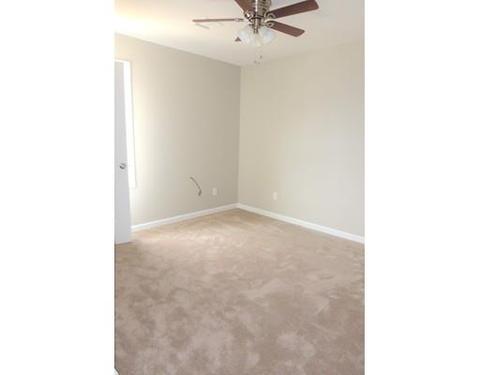 195 Morton, Springfield, MA 01119 photo 16