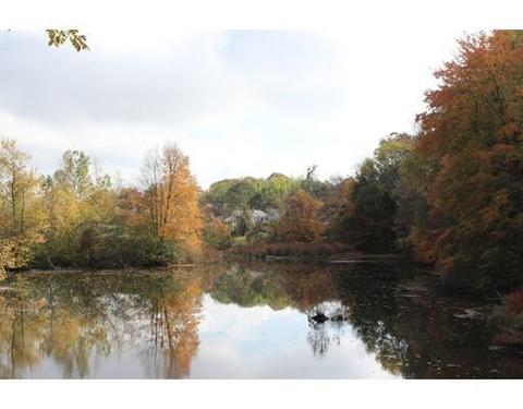 16 Forge Pond #A, Canton, MA 02021 photo 16