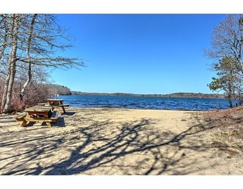 2 Birch Way, Mashpee, MA 02649 photo 28