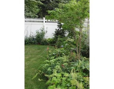 443 Appleton St, Arlington, MA 02476 photo 29