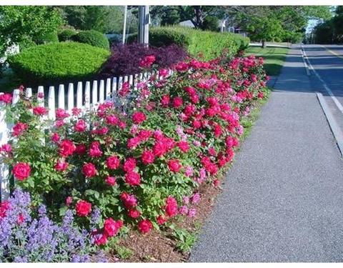 389 Ocean St #A, Hyannis, MA 02601 photo 28