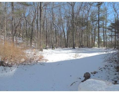 6 Osage Rd, Canton, MA 02021 photo 3