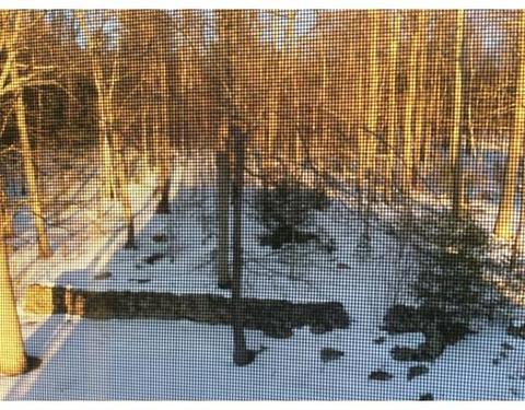 75 Beech St, Palmer, MA 01069 photo 7