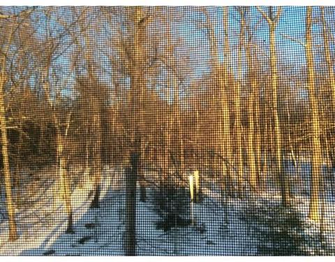 75 Beech St, Palmer, MA 01069 photo 8