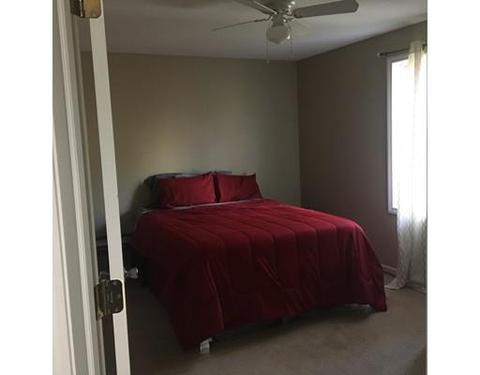 5 Bush Ave, Chicopee, MA 01013 photo 24