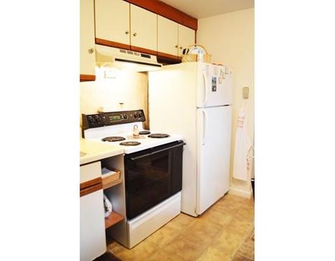 429 Oldfield Rd, Chicopee, MA 01013 photo 17