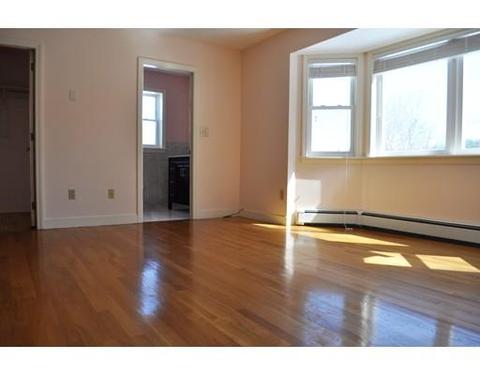 115 Nonset Path, Acton, MA 01720 photo 19