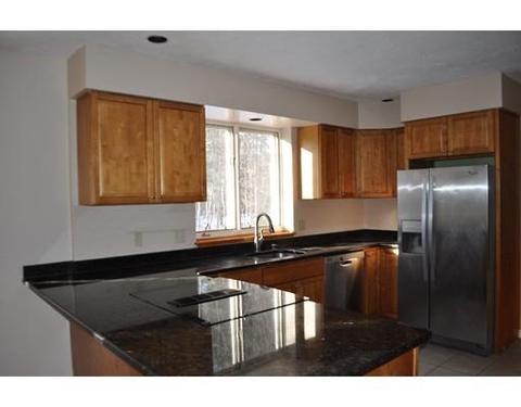 115 Nonset Path, Acton, MA 01720 photo 9