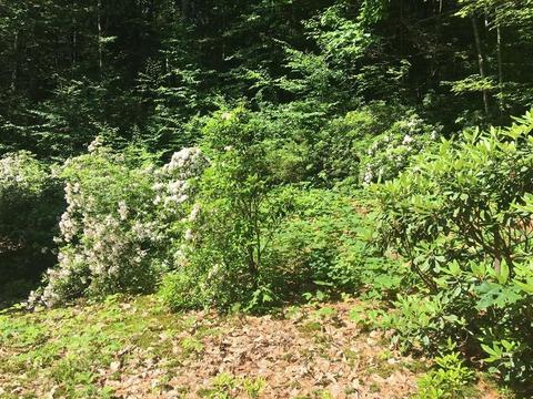 285 Orange Rd, Warwick, MA 01378 photo 18