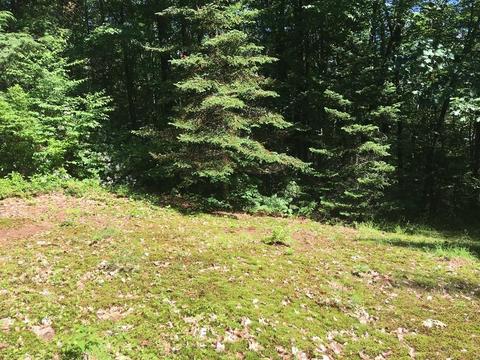285 Orange Rd, Warwick, MA 01378 photo 19