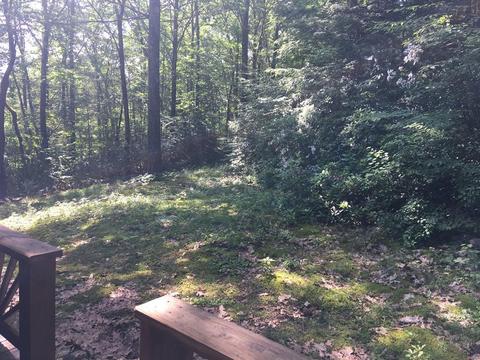 285 Orange Rd, Warwick, MA 01378 photo 22