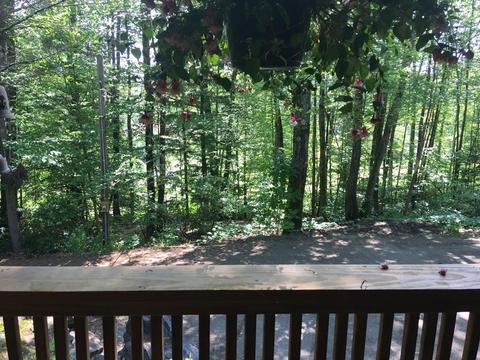 285 Orange Rd, Warwick, MA 01378 photo 20