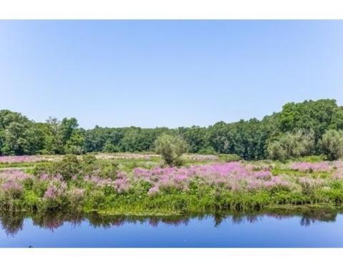 159 Claybrook Rd, Dover, MA 02030 photo 26