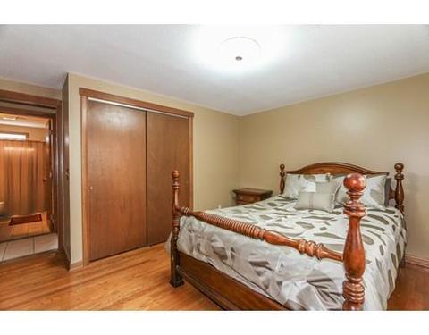 52 Pinecrest Dr, Springfield, MA 01118 photo 14