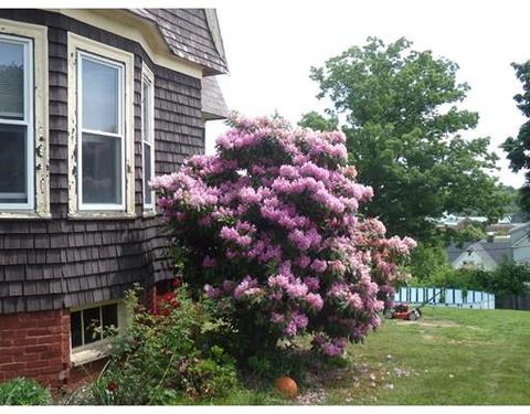 110 Tower Rd, Worcester, MA 01606 photo 11