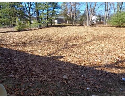 24 N Brook Rd, Springfield, MA 01119 photo 17